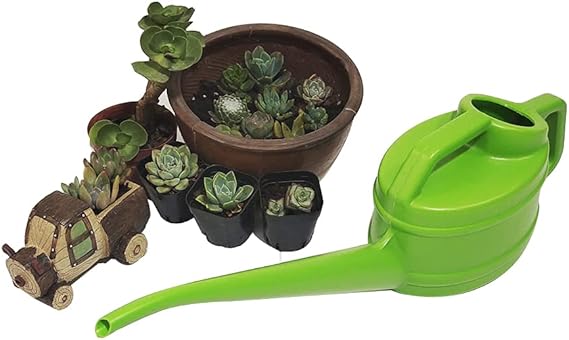Lisslune | Watering can with long spout for precise and easy watering