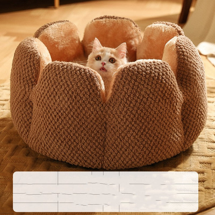 Lisslune | Warm Cactus Bed