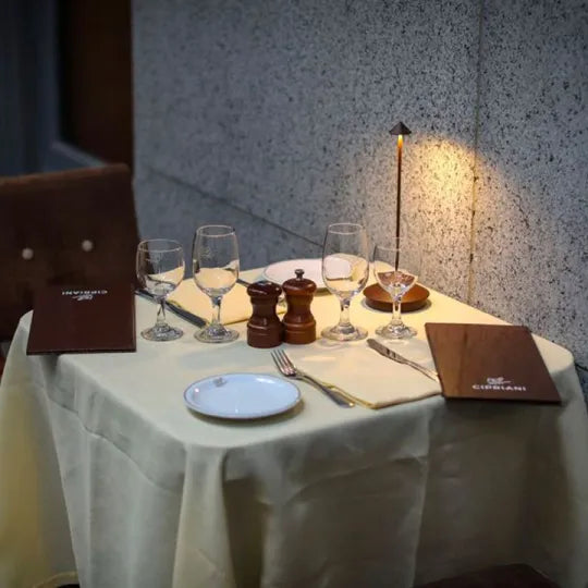 Lisslune | Spikelight™ - Waterproof & Dimmable Wired Lighting