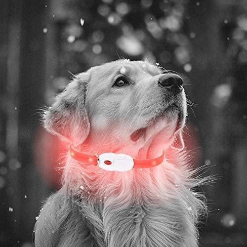 Lisslune | Light & Protect: Rechargeable Waterproof LED Dog Collar for Enhanced Nighttime Safety
