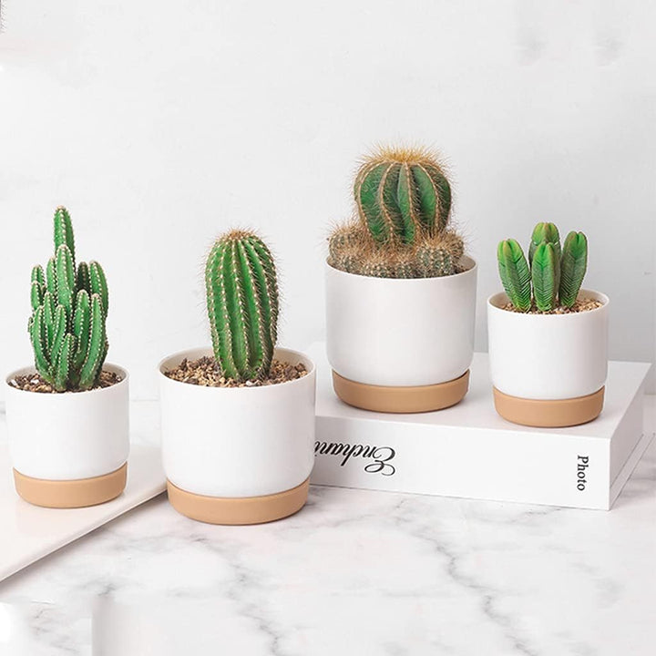 Lisslune | Self-watering flower pot for orchids and plants – Plastic plant container