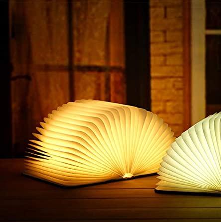Lisslune | Frendorf Book Light
