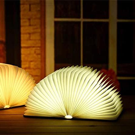 Lisslune | Frendorf Book Light