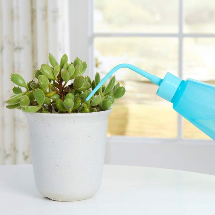 Lisslune | Succulent Garden Tool Set with Spray Bottle and Accessories