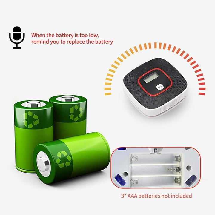 Lisslune | Carbon Monoxide Detector – Solvex