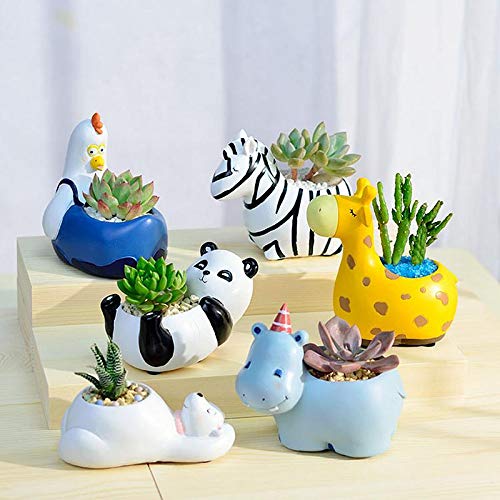Lisslune | Animal Plant Pots – Funny Animal Designs for Succulents and Cacti