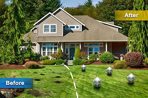 Lisslune | Solar-powered animal repeller for garden and yard – Environmentally friendly protection against mice and rodents