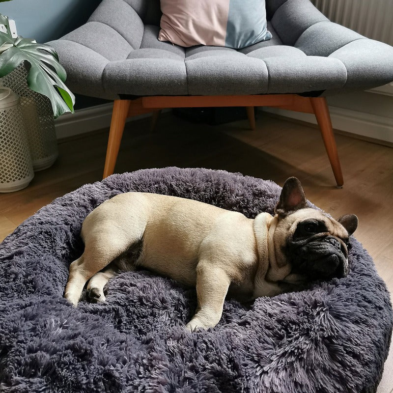 Lisslune | Beef Plush Calming Donut Dog Bed for Small to Large Dogs