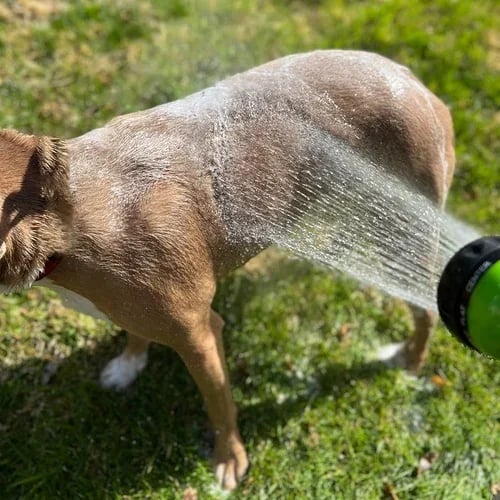 Lisslune | Multi-mode Dog Bath Foaming Water Gun