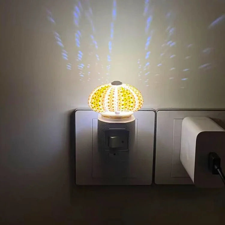Lisslune | LumiCraft – Unique DIY table lamp with natural sea shell for a cozy décor