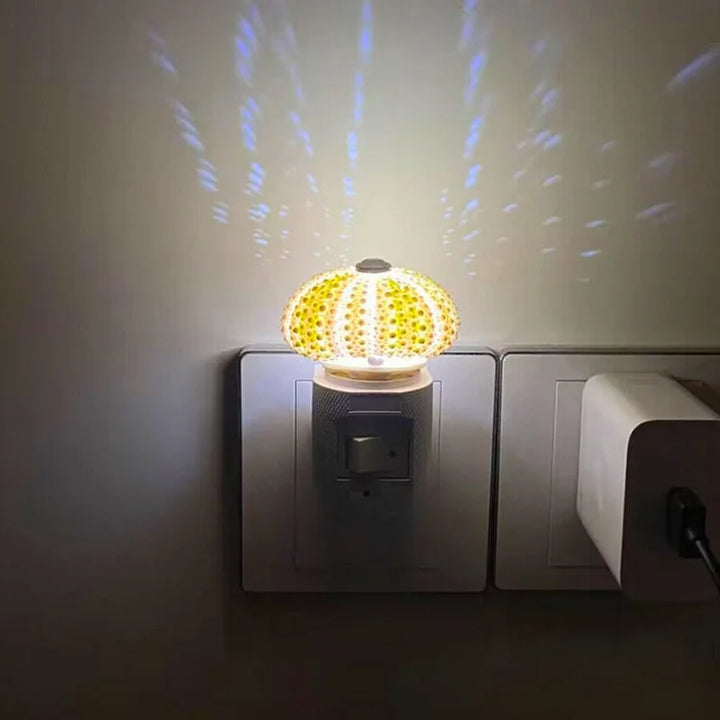 Lisslune | LumiCraft – Unique DIY table lamp with natural sea shell for a cozy décor