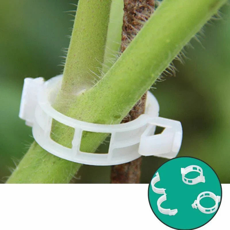 Lisslune | Plant support clip for climbing plants – Flexible holder for plant stems