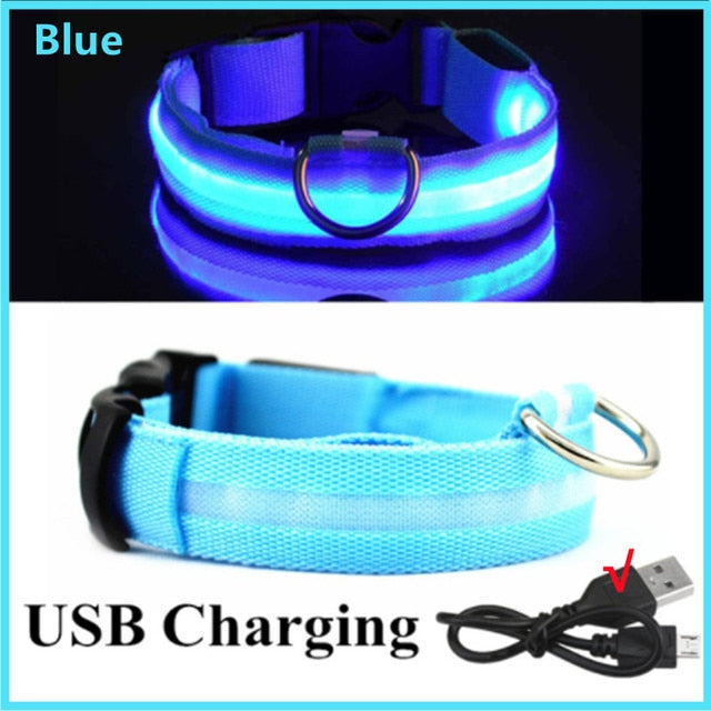 Lisslune | Luminous dog collar