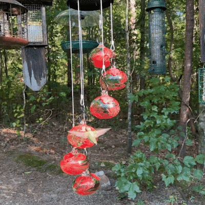 Lisslune | New Charming Wind Chimes Hummingbird feeders Garden Decor