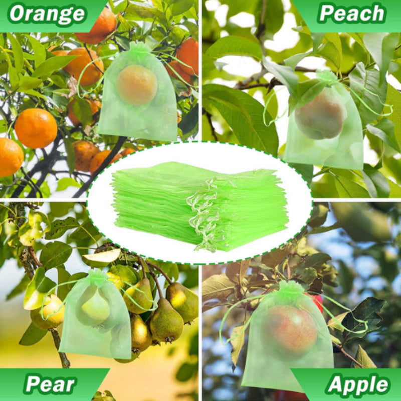 Lisslune | Fruit Protection Bag (100 PCS)