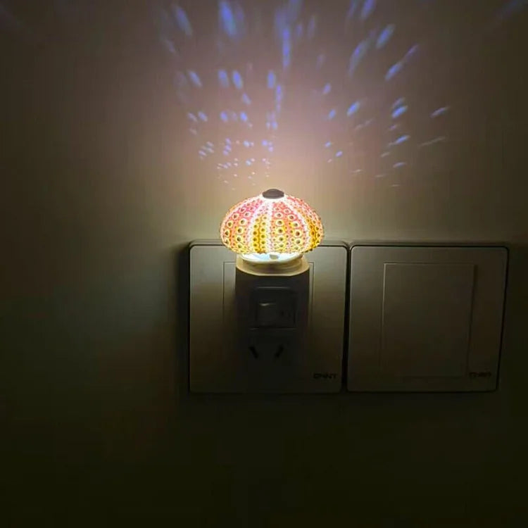 Lisslune | LumiCraft – Unique DIY table lamp with natural sea shell for a cozy décor