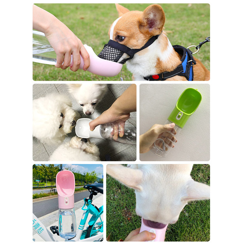 Lisslune | Water Bottle Feed Dispenser