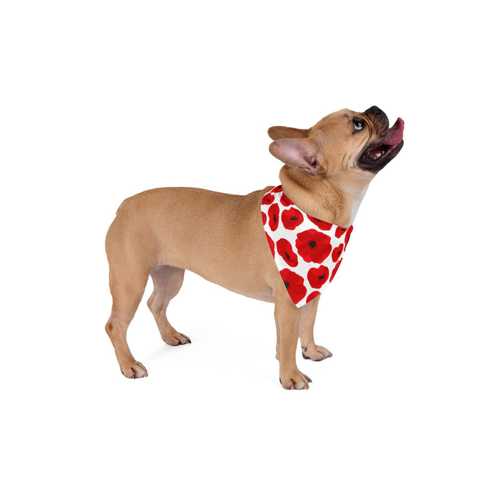 Lisslune | Personalized Luxury Pet Bandana: Highlight your furry friend's style