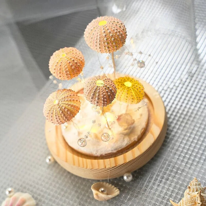 Lisslune | LumiCraft – Unique DIY table lamp with natural sea shell for a cozy décor