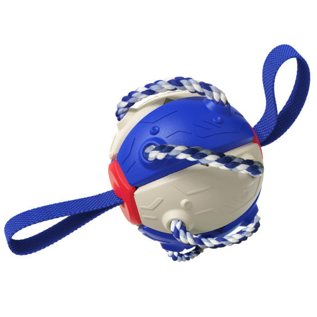 Lisslune | Interactive dog toy
