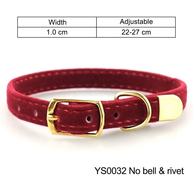 Lisslune | Collar for small cats & dogs