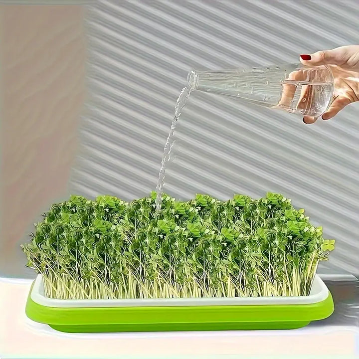 Lisslune | Germination trays with lid – Double-layer seed sowing tray for effective seed germination