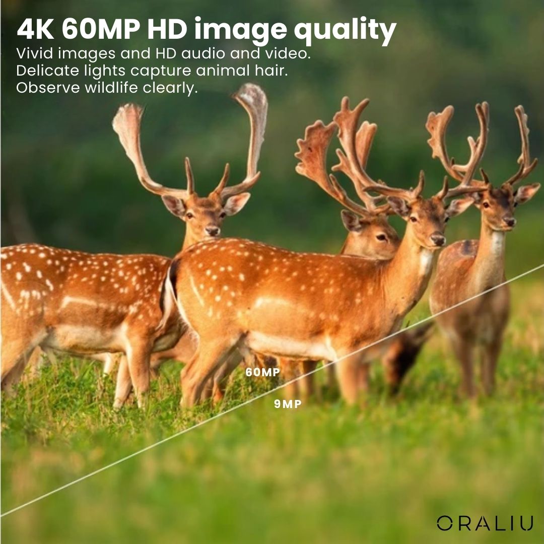 Lisslune | 4K Ultra HD Wildlife Camera – 60MP with App Control