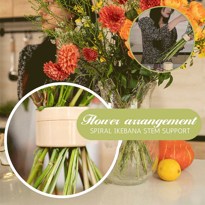 Lisslune | Spiral Ikebana Stem Holder