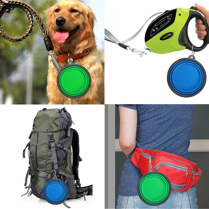Lisslune | Collapsible feeding station for pets