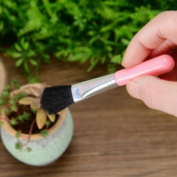 Lisslune | Combination set for succulent planting tools – Practical set for care and planting