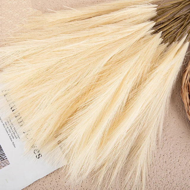 Lisslune | BloomFuzz - Lush Pampas Flower Decor
