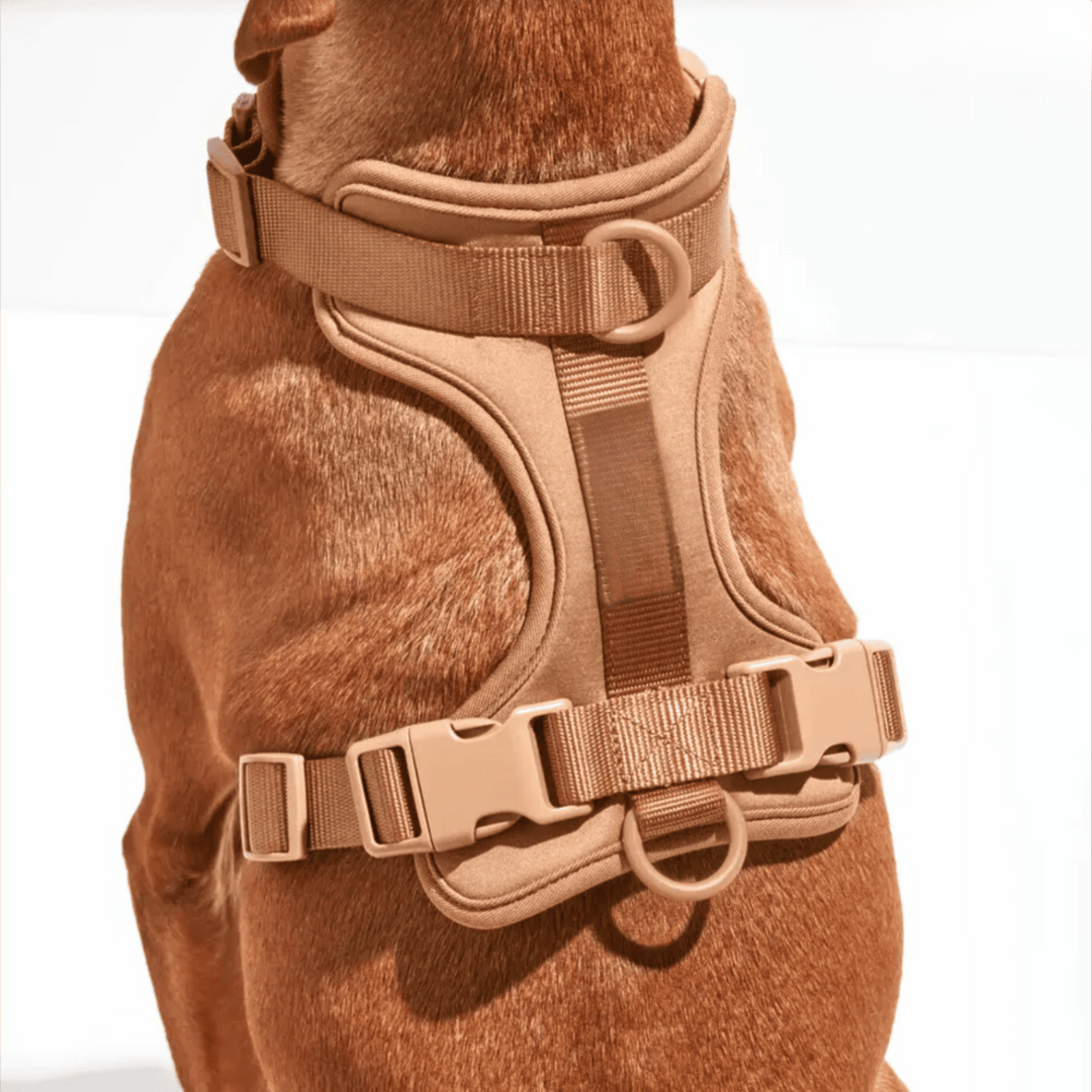 Lisslune | ComfyPaws Dog Harness Walking Set with Leash and Poop Bag Holder