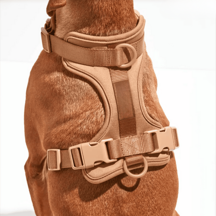 Lisslune | ComfyPaws Dog Harness Walking Set with Leash and Poop Bag Holder