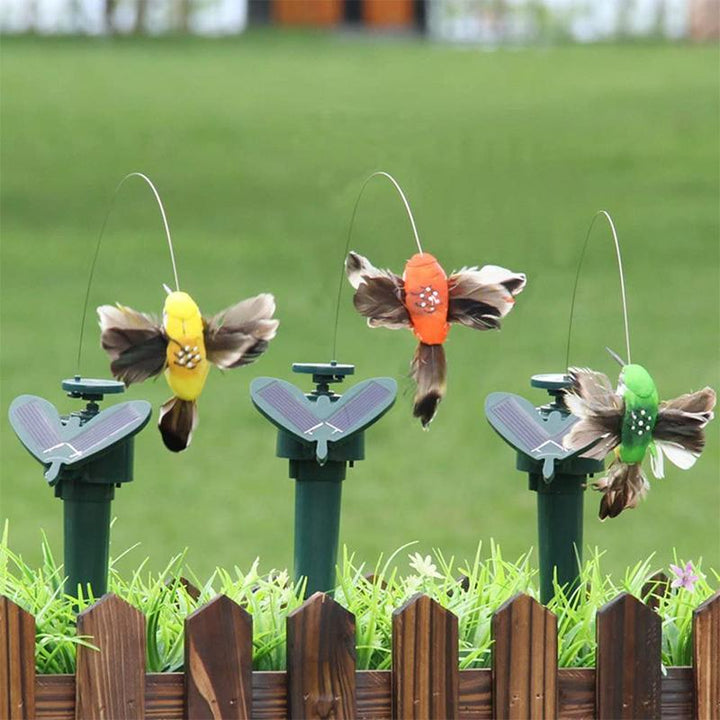 Lisslune | Solar-powered dancing hummingbird and butterfly