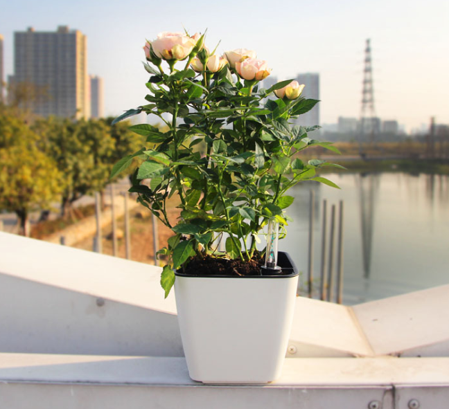 Lisslune | Flower pot with irrigation system – Self-watering plant pot for indoor and outdoor use
