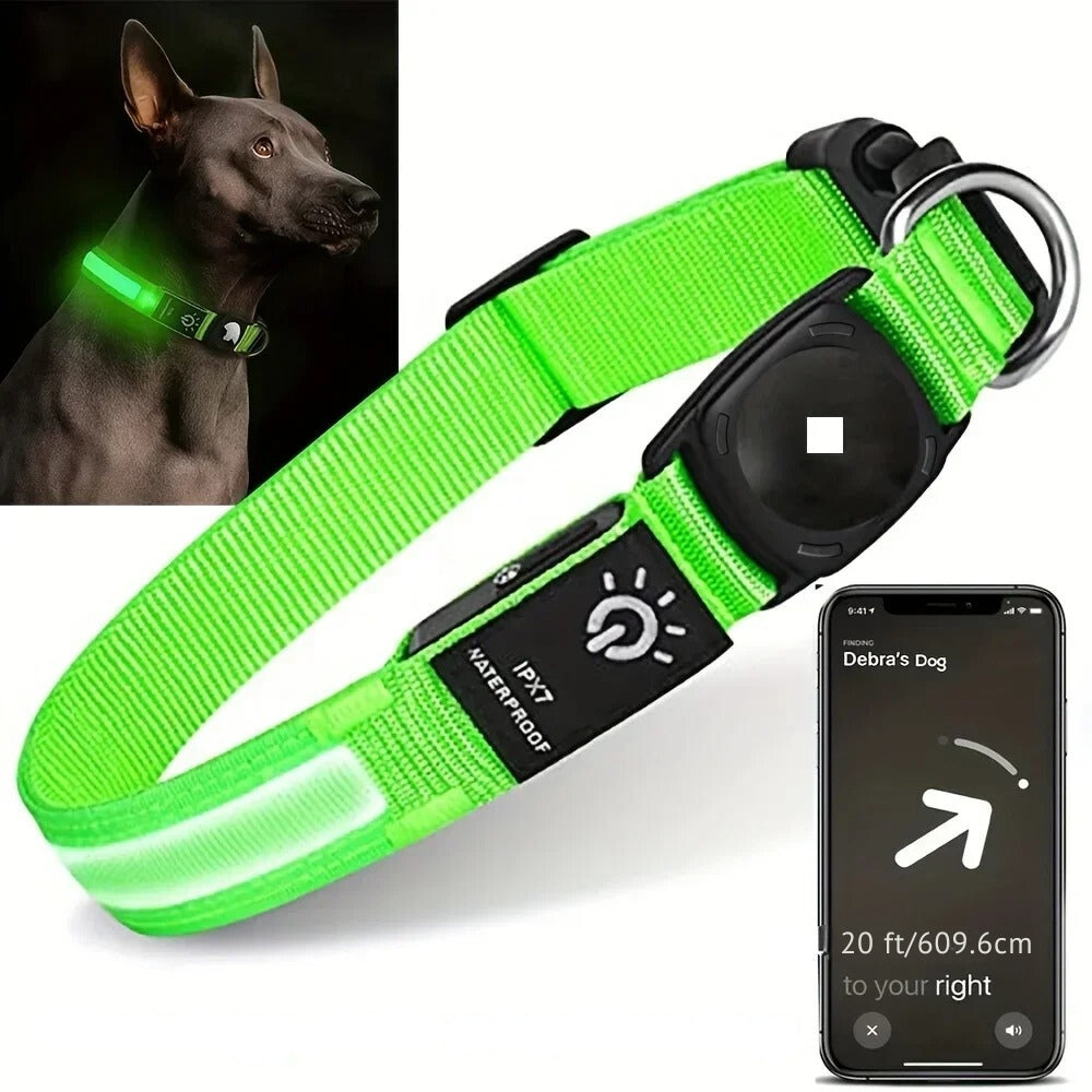 Lisslune | Flashing Dog Collars – Waterproof LED Light Up Dog Collar with USB Rechargeable Glow, Dog Collars Illuminated for Night Safety, All Sizes