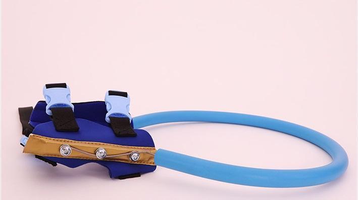 Lisslune | Bumper Collar Guide For Blind Dogs Harness