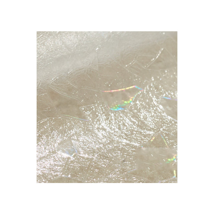 Lisslune | Rainbow Window Privacy Film