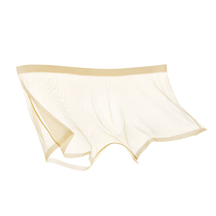 Lisslune | ICE-MESH-BOXER SHORTS