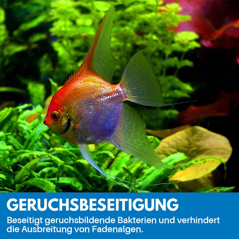 Lisslune | Cleaning Powder for Aquarium