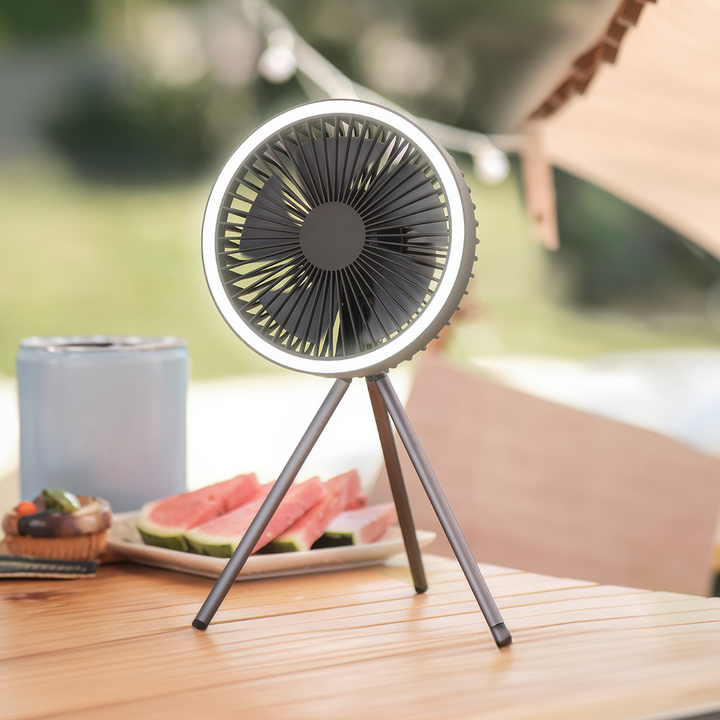 Lisslune | Portable Rechargeable Fan with LED and Built in Power Bank
