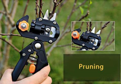 Lisslune | Refinement scissors for garden – Precise cutting tools for grafting and refining plants