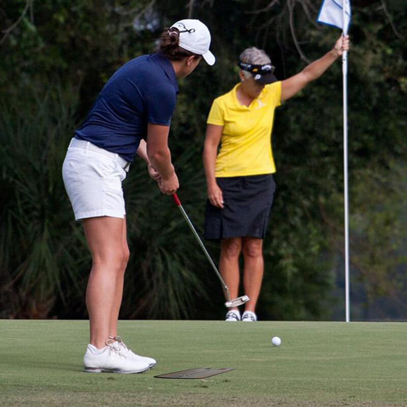 Lisslune | Golf Training Mirror Mat
