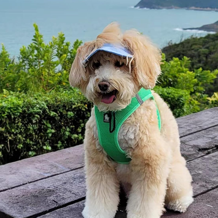 Lisslune | Outdoor Sun Protection Hood for Dogs