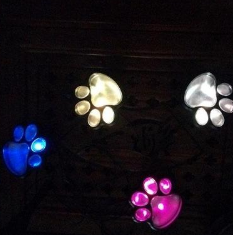 Lisslune | Solar lamp in paw print design – LED garden lighting in multicolor for outdoor use