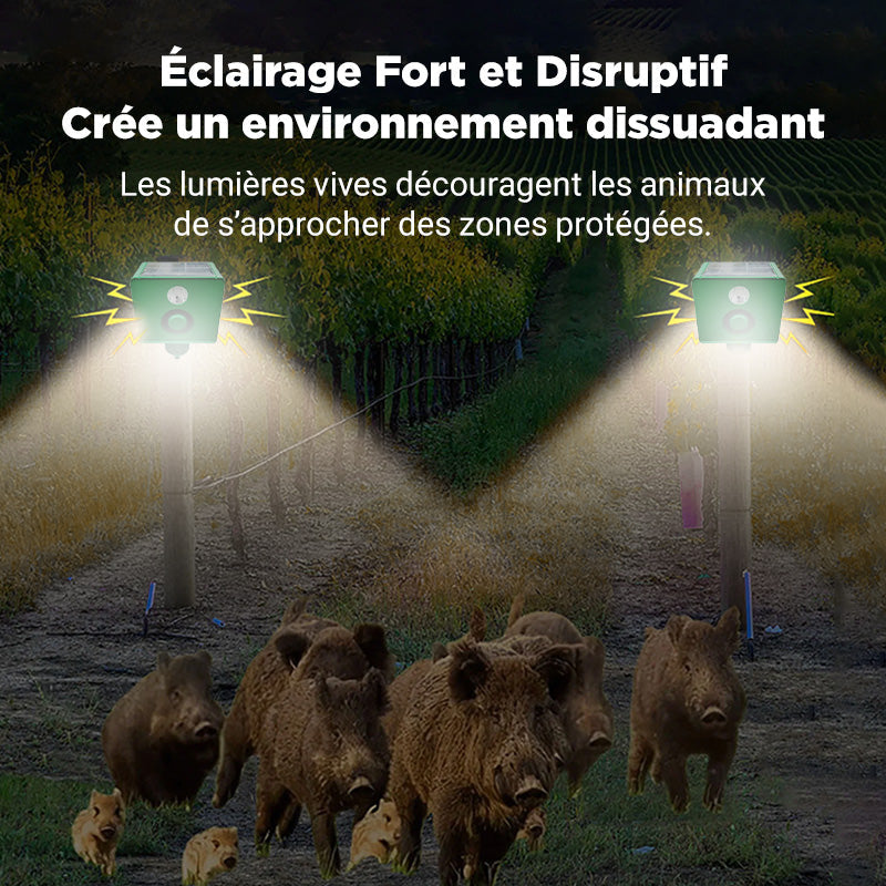 Lisslune | Solar-Warning Lamp Anti-Bête with High Volume