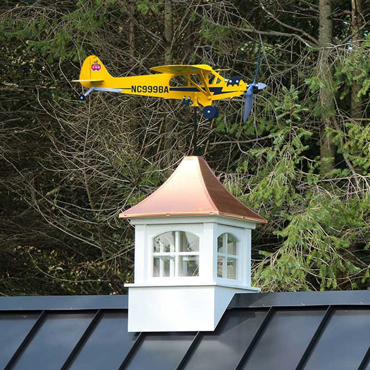 Lisslune | Airplane Weathervane