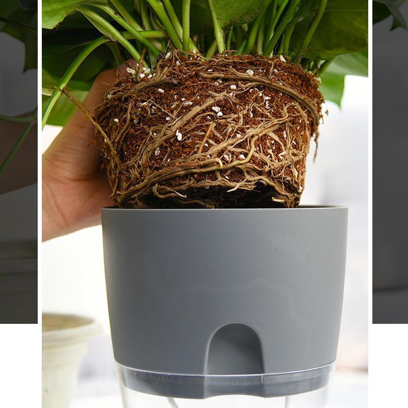 Lisslune | Self-watering Hydro-Flower Pot