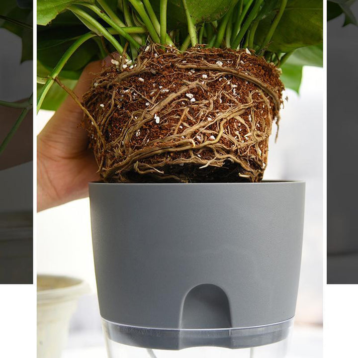 Lisslune | Self-watering Hydro-Flower Pot