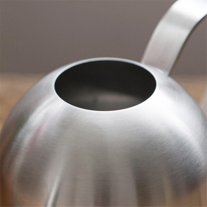 Lisslune | Stainless Steel Watering Can with Flexible Neck | Modern Design | Perfect Watering | Rustproof